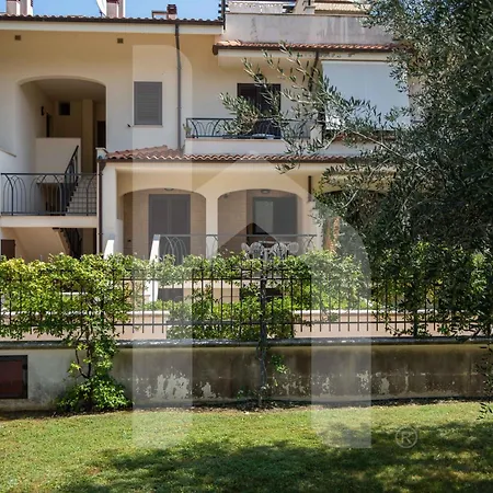 Homiday - Micaene Pineto