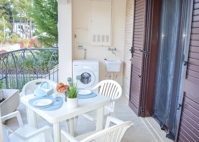 Homiday - Micaene ピネート